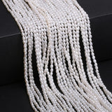 Freshwater Baroque Pearls Beads Rice Shape Loose Beads 2-2.5mm