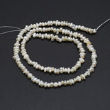Freshwater Pearl Stone Shape Beads for Jewelry Making