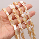 Natural Freshwater Shell Beads for Jewelry Making Necklace Bracelet Earrings