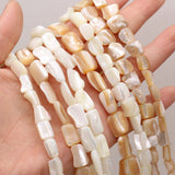 Natural Freshwater Shell Beads for Jewelry Making Necklace Bracelet Earrings