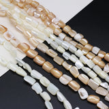 Natural Freshwater Shell Beads for Jewelry Making Necklace Bracelet Earrings