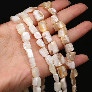 Natural Freshwater Shell Beads for Jewelry Making Necklace Bracelet Earrings