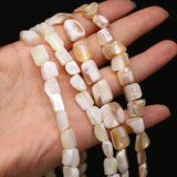 Natural Freshwater Shell Beads for Jewelry Making Necklace Bracelet Earrings
