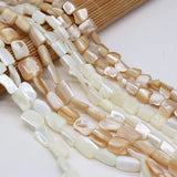 Natural Freshwater Shell Beads for Jewelry Making Necklace Bracelet Earrings