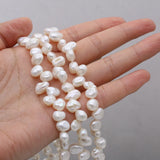 Freshwater Partial Pore Regeneration Bead Spacer Beads for Jewelry Making