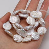 Baroque Coin Pearl Beads for Jewelry Making DIY