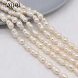 Natural Freshwater Pearl Bead Baroque Gourd Shaped Spacer Loose Beads
