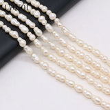 Natural Freshwater Pearl Bead Baroque Gourd Shaped Spacer Loose Beads
