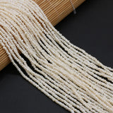 Natural Freshwater Pearl Bead Mini Loose Beads 2-5mm