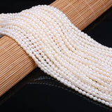 Natural Freshwater Pearl Bead Rice Shape 3-3.5-3.8mm for Charms Jewelry Making