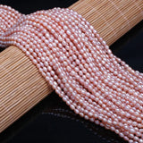 Natural Freshwater Pearl Bead Rice Shape 3-3.5-3.8mm for Charms Jewelry Making