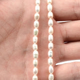 Natural Freshwater Pearl Beaded High Rice Shape Loose Beads