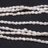 Freshwater Pearl High Rice Shape Loose Beads for Jewelry Making