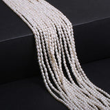Natural Freshwater Pearl Bead Jewelry Making