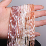 Natural Freshwater Pearl Bead Jewelry Making