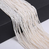 Freshwater Pearl Beads for DIY Jewelry
