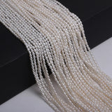 Freshwater Pearl Beads for DIY Jewelry