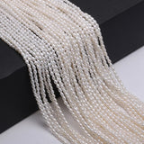 Freshwater Pearl Beaded High Rice Loose Beads for Jewelry DIY