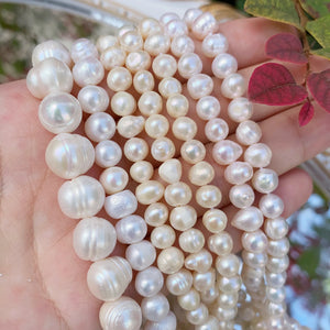 Freshwater Pearl Beaded High Round Shape Loose Beads for Jewelry DIY