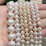 Freshwater Pearl Beaded High Round Shape Loose Beads for Jewelry DIY