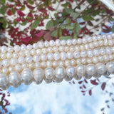 Freshwater Pearl Beaded High Round Shape Loose Beads for Jewelry DIY