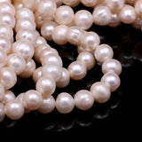 Freshwater Pearl Beading Loose Beads DIY Jewelry Making Bracelet Necklace