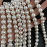 Freshwater Pearl Beading Spacer Loose Beads for Jewelry Making DIY