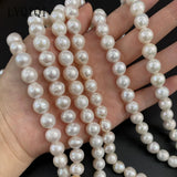 Freshwater Pearl Beading Spacer Loose Beads for Jewelry Making DIY