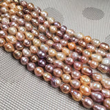 Freshwater Pearl Beading Loose Beads for DIY Necklace Bracelet