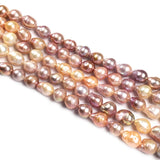 Freshwater Pearl Beading Loose Beads for DIY Necklace Bracelet