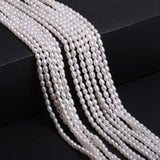 Freshwater Pearl Beads 3.5-4mm Rice-Shaped Pearls DIY Jewelry Necklace Bracelet