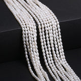 Freshwater Pearl Beads 3.5-4mm Rice-Shaped Pearls DIY Jewelry Necklace Bracelet