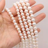 Natural Freshwater Pearl Beads Round Loose Beads 5-11mm for DIY Jewelry Making