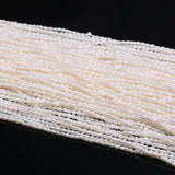 AA Grade Natural Freshwater Pearl Beads 2-2.3mm