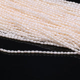 Natural Freshwater Pearl Beads AAA 2-2.5mm