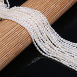 Natural Freshwater Pearl Beads AAA 2-2.5mm