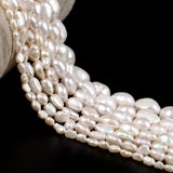 Natural Freshwater Pearl Beads High Irregular Loose Beads