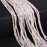Freshwater Pearl Beads Oval Punch Loose Beads for Jewelry DIY
