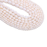 Freshwater Pearl Beads DIY Jewelry Making