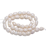 Freshwater Pearl Beads DIY Jewelry Making