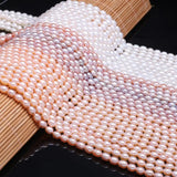 4-5MM Rice Shape Freshwater Pearl Beads for Jewelry Making
