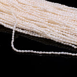 Natural Freshwater Pearl Beads High Shape Punch Loose Beads DIY Jewelry 2-2.5mm