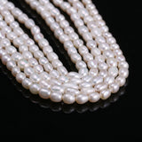 Natural Freshwater Pearl Beads High irregular shape Punch Loose Beads 3-4mm