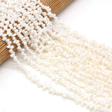 Natural Freshwater Pearl Beads with Notoginseng Hole for Jewelry Making