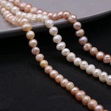 Freshwater Pearl Beads Oval Spacer Loose Bead For Jewelry Making