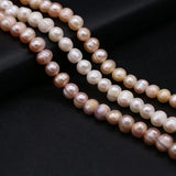 Freshwater Pearl Beads Oval Spacer Loose Bead For Jewelry Making