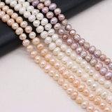 Freshwater Pearl Beads Oval Spacer Loose Bead For Jewelry Making