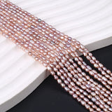 Natural Freshwater Pearl Rice Shape Loose Beads for Jewelry Making