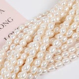 Natural Freshwater Pearl Beads Rice Shape Real Pearl 5-6mm Small Imperfections