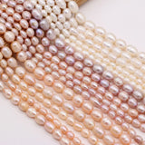 Freshwater Pearl Beads Rice Shape for Jewelry Making
